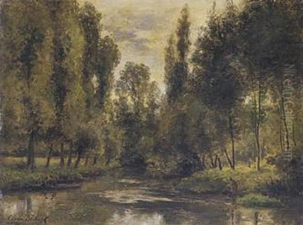 Sommerliche Auenlandschaft. - view 1