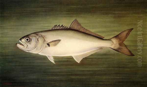 Blue Fish - view 1