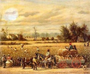 Picking Cotton