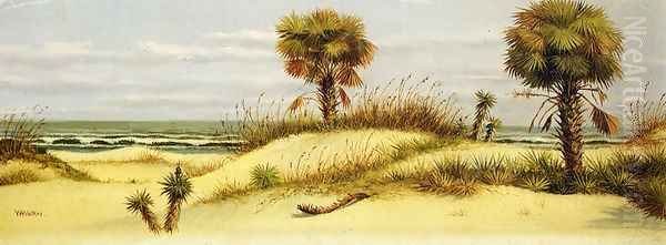 Palms at Ponce Park, Florida - view 1