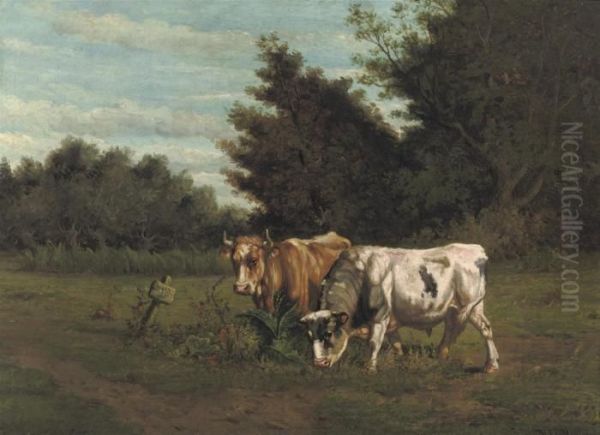 Grazing Cows - view 1