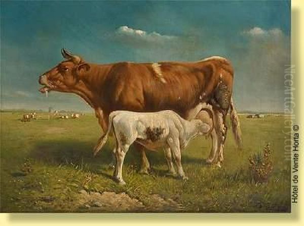 Vache Et Veau Au Paturage - view 1