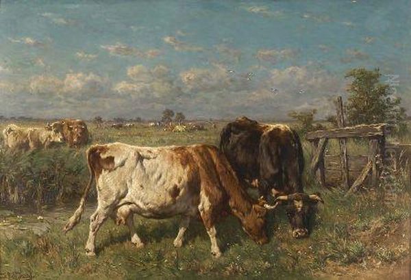Summer Pasture - view 1