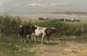 Cattle Cattle