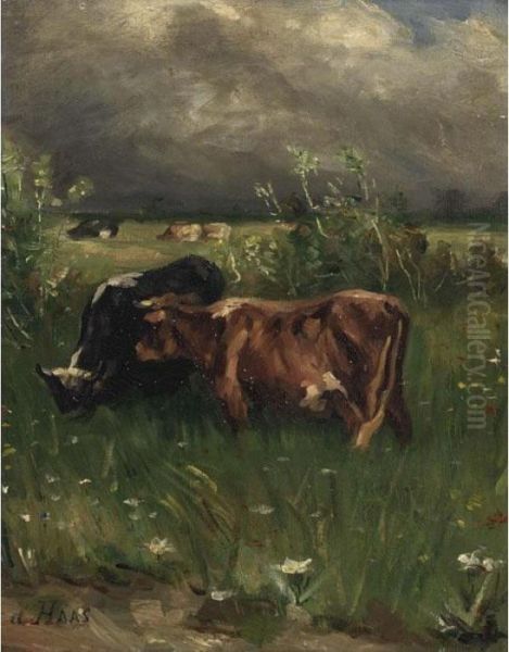 Cows In A Landscape - view 1