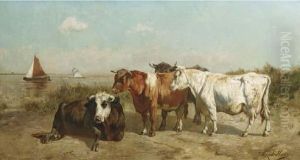 Cows On A Waterside