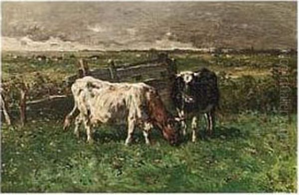 Cows At Pasture - view 1