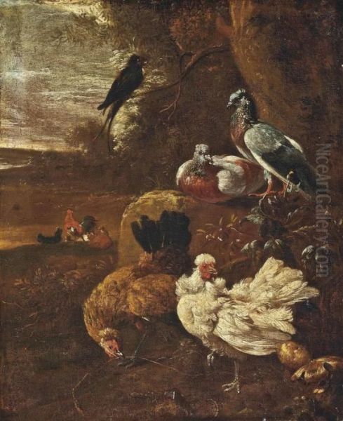 Hens, Pigeons And Other Birds In A Wooded Clearing - view 1