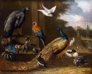 Oiseaux D'ornement : Paons, 
Perroquets, Pelican Et Singe Dans Le Parc D'un Palais Classique
