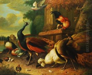 A Peacock And Other Poultry In A Landscape by Melchior de Hondecoeter