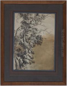 Etude D'arbre