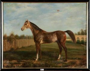 Portrait D""un Cheval by Georges de La Tour