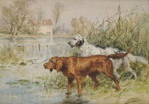 Chiens A L'arret