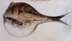 Puffer by John White