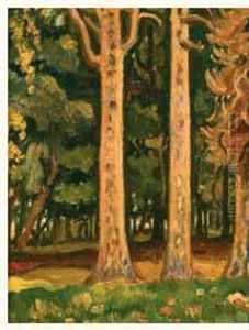 Les Grands Arbres Les Grands Arbres