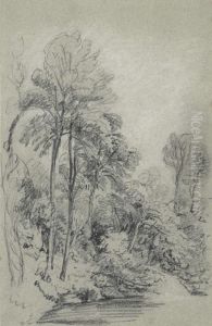 Trees Trees