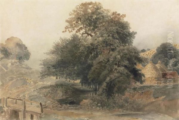 The Farm Stream - view 1