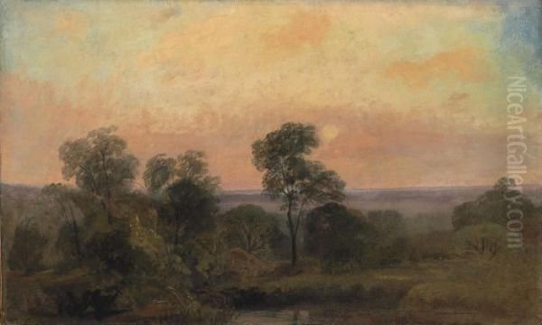 A Wooded Landscape At Dusk Oil On Millboard - view 1
