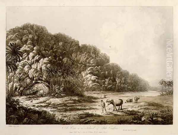A View in the Island of Pulo Condore, from Views in the South Seas, pub. 1792 - view 1