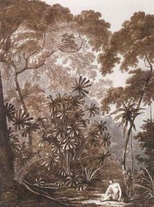 The Fan Palm in the Island of Cracatoa, from Views in the South Seas, pub. 1788 by John Webber