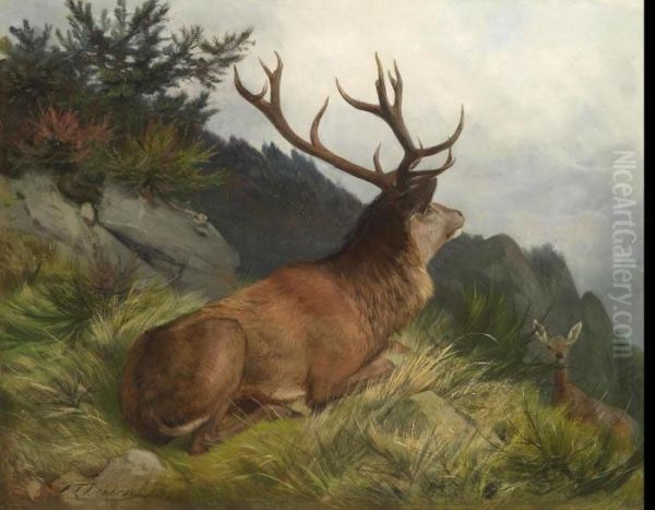 Stag In A Landscape - view 1