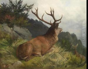 Stag In A Landscape