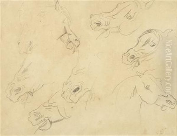 Horse Studies - view 1
