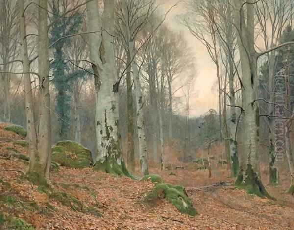 A Welsh Wood in Winter - view 1