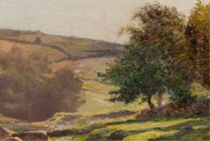 Scenic Landsacpe With Creek