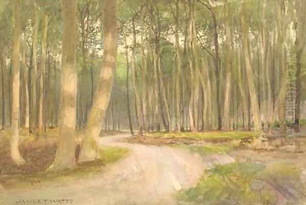 An evening glow in the woods - view 1