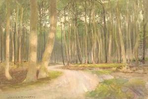An evening glow in the woods by James Thomas Watts