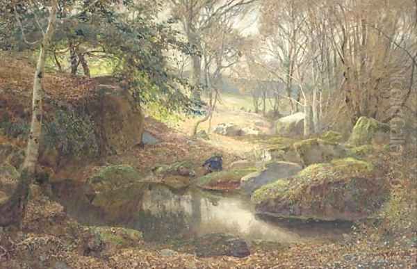 A Rocky Woodland Pond - view 1