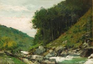 Ruscello Di Montagna