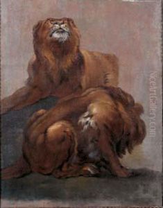 Etude De Lions
