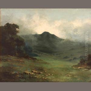 View Of Mount Tamalpais by Richard Detreville
