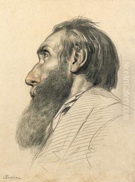 Portrait D'homme, Profil Gauche. - view 1