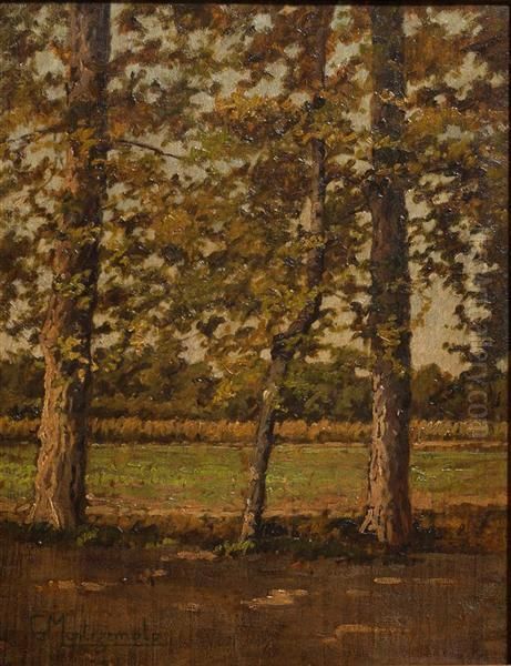 Tra Le Fronde - view 1