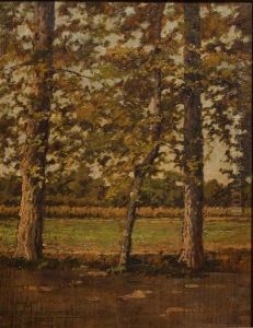 Tra Le Fronde Tra Le Fronde