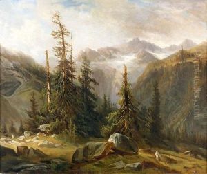 Wilde Gebirgspartie Mit Tannen Und Felsen.
