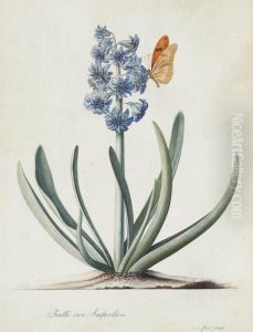 A Double Blue Hyacinth (hyacinthus Orientalis) With A Butterfly by Georg Dionysius Ehret
