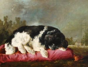 A Portrait Of The Artist's Dog Asleep On A Cushion by Francisco Domingo Marques