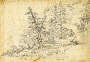 Rolled Lumber In Pine Forest by Johann Jakob Ii Dorner