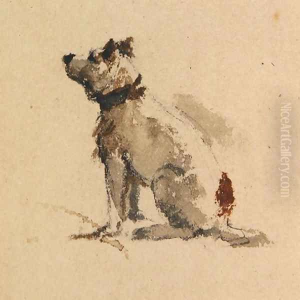 A Terrier, sitting facing left - view 1