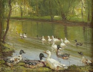 Upstream by Patrick Downie