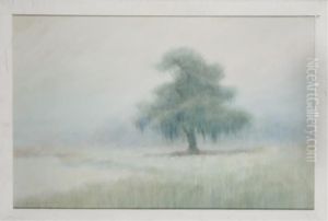 Moss-draped Live Oak In A Field by Alexander John Drysdale