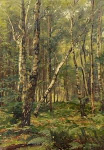 Birch Forest