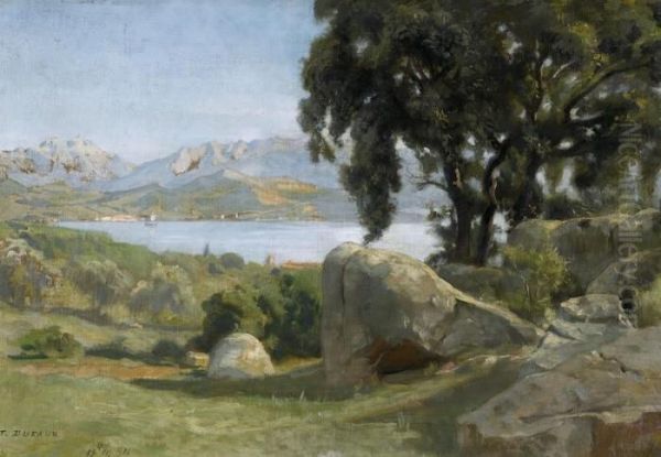 Sommerliche Uferlandschaft - view 1