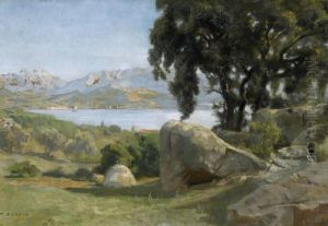 Sommerliche Uferlandschaft