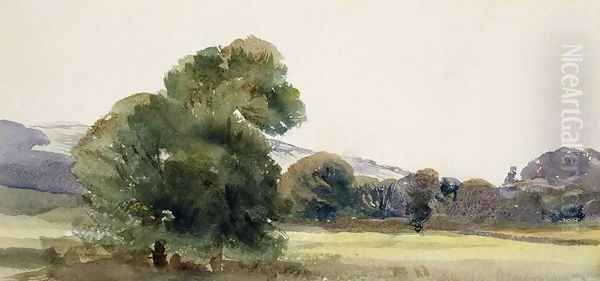 Trees in a Field - view 1
