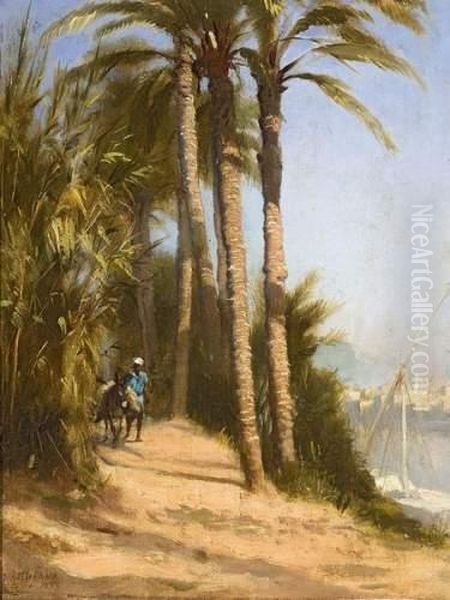 Muletier Aux Environs Du Caire - view 1